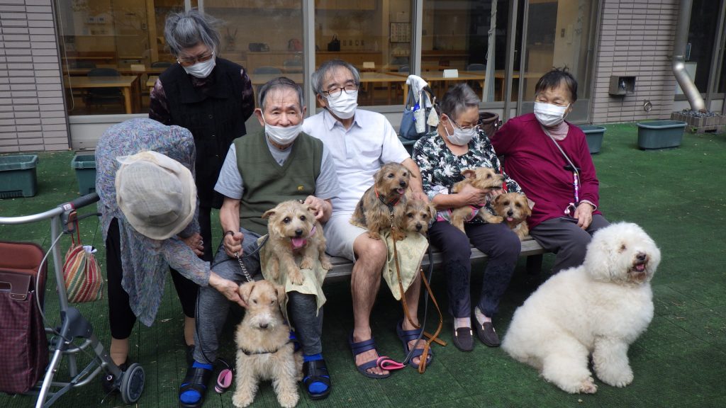 ドッグセラピー